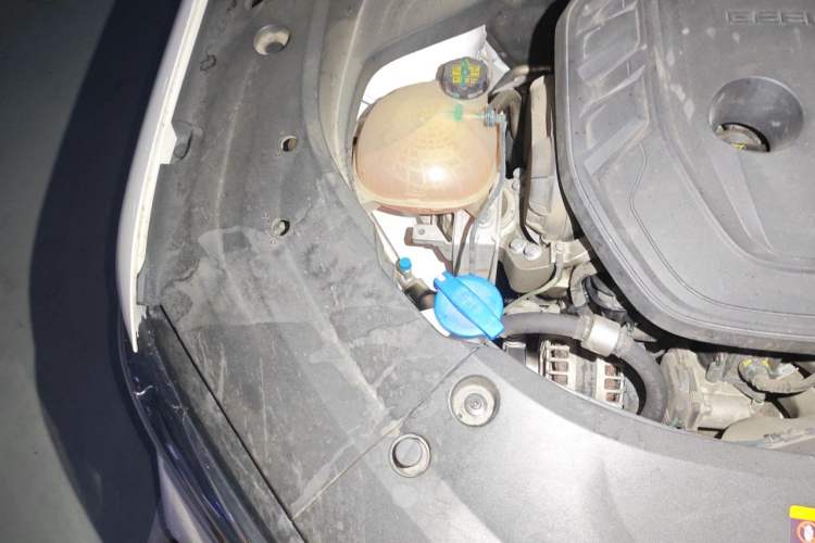 Used Geely Auto Monjaro L 2021 2.0TD High-Power Automatic All-Wheel-Drive Flagship Version Engine Bay Right