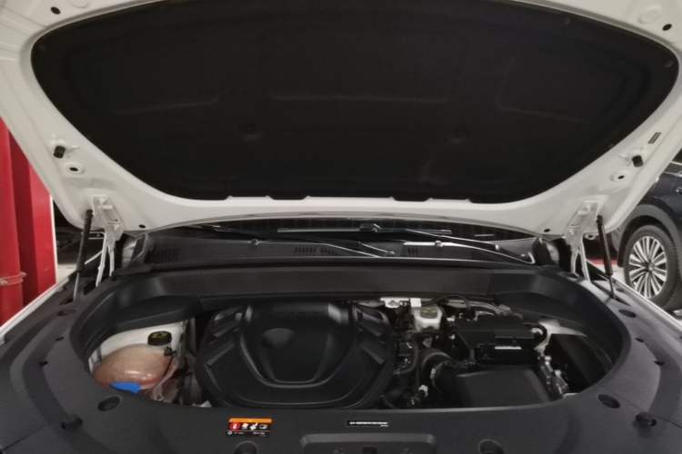 Used Geely Auto Monjaro L 2021 2.0TD High-Power Automatic All-Wheel-Drive Flagship Version Engine Bay