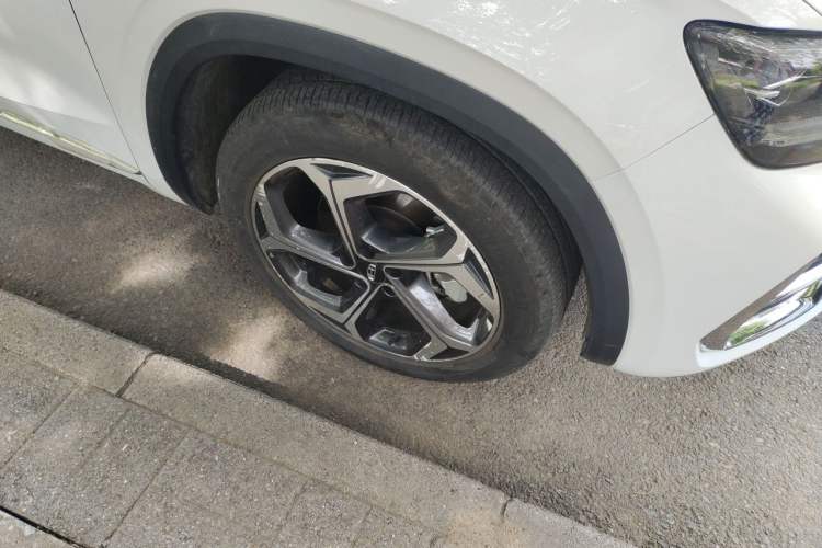 Used Geely Auto Monjaro L 2021 2.0TD DCT EVO Two-Wheel Drive Prestige Version Exterior 1