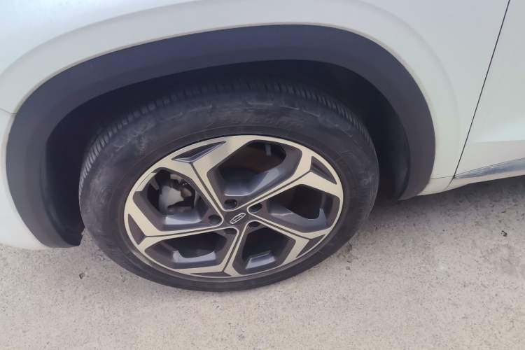 Used Geely Auto Monjaro L 2021 2.0TD DCT EVO Two-Wheel Drive Prestige Version Exterior 4