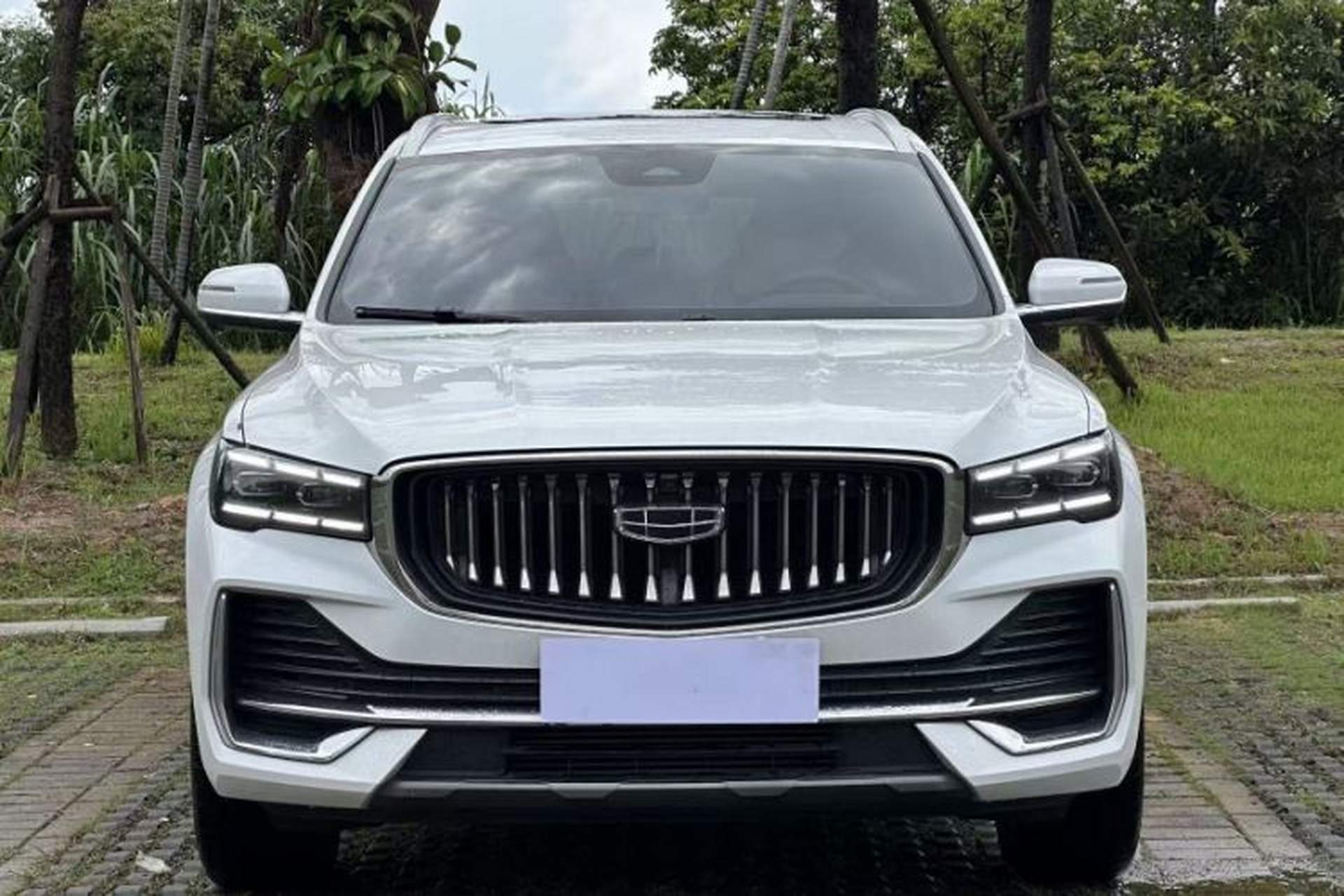Used Geely Auto Monjaro L 2021 2.0TD High-Power Automatic All-Wheel-Drive Flagship Version Exterior 5