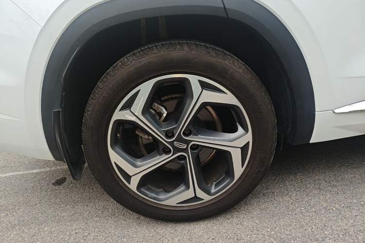 Used Geely Auto Monjaro L 2021 2.0TD DCT EVO Two-Wheel Drive Prestige Version Exterior 5