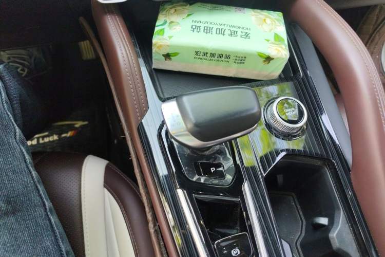 Used Geely Auto Monjaro L 2021 2.0TD High-Power Automatic All-Wheel Drive Luxury Version Gear Lever