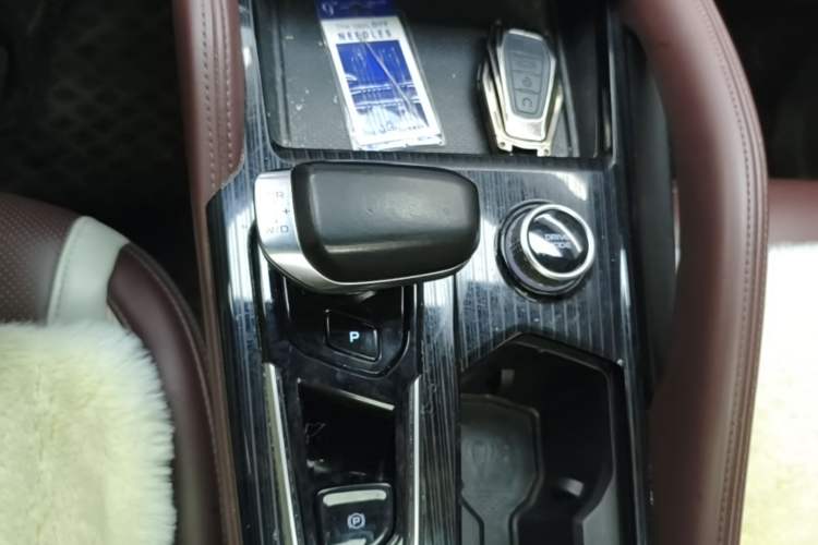 Used Geely Auto Monjaro L 2021 2.0TD DCT EVO Two-Wheel Drive Prestige Version Gear Lever