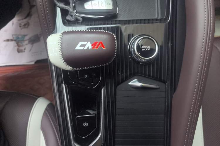 Used Geely Auto Monjaro L 2021 2.0TD DCT EVO Two-Wheel Drive Prestige Version Gear Lever