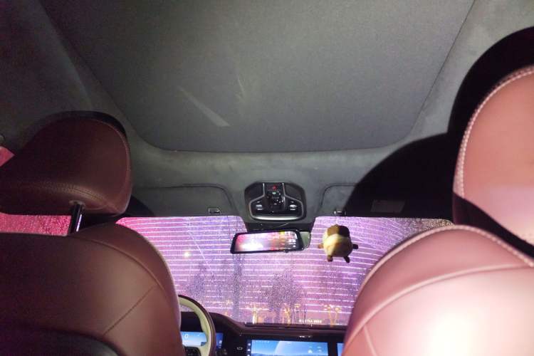 Used Geely Auto Monjaro L 2021 2.0TD DCT EVO Two-Wheel Drive Prestige Version Headliner