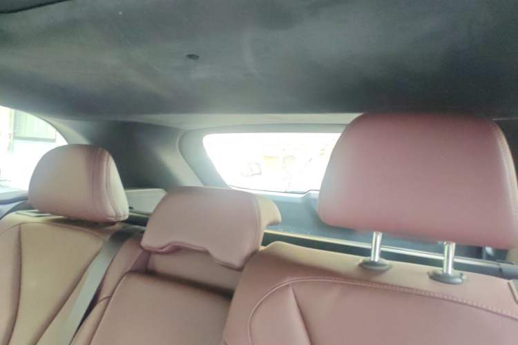 Used Geely Auto Monjaro L 2021 2.0TD DCT EVO Two-Wheel Drive Smart Luxury Version Headliner