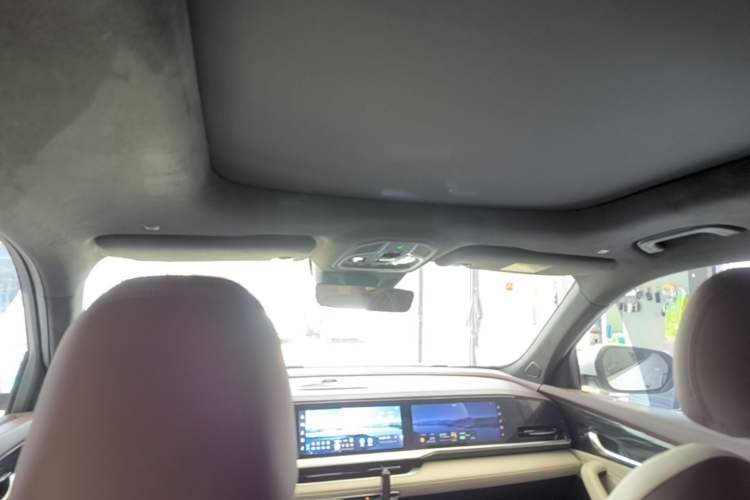 Used Geely Auto Monjaro L 2021 2.0TD DCT EVO Two-Wheel Drive Prestige Version Headliner