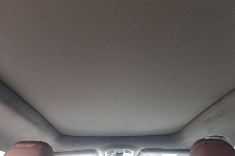 Used Geely Auto Monjaro L 2021 2.0TD High-Power Automatic All-Wheel Drive Luxury Version Headliner