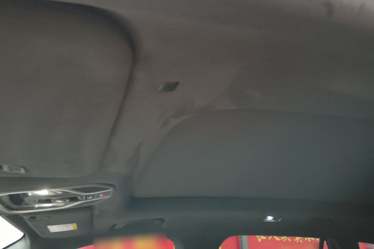 Used Geely Auto Monjaro L 2021 2.0TD DCT EVO Two-Wheel Drive Prestige Version Headliner