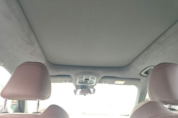 Used Geely Auto Monjaro L 2021 2.0TD DCT EVO Two-Wheel Drive Prestige Version Headliner