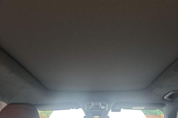 Used Geely Auto Monjaro L 2021 2.0TD DCT EVO Two-Wheel Drive Prestige Version Headliner