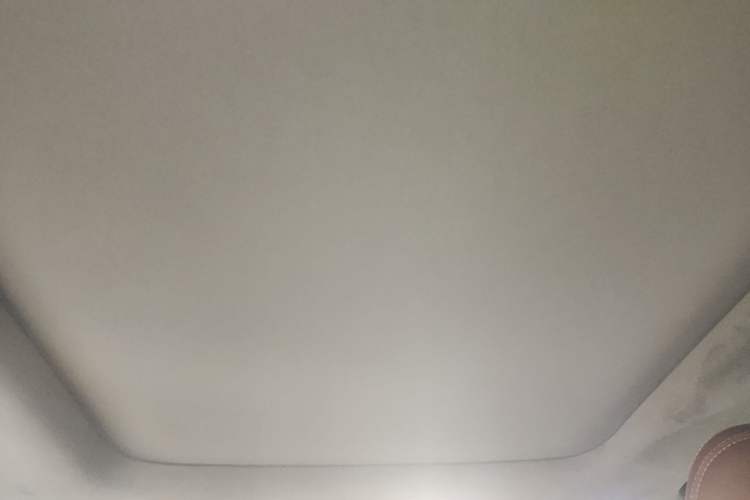 Used Geely Auto Monjaro L 2021 2.0TD DCT EVO Two-Wheel Drive Prestige Version Headliner