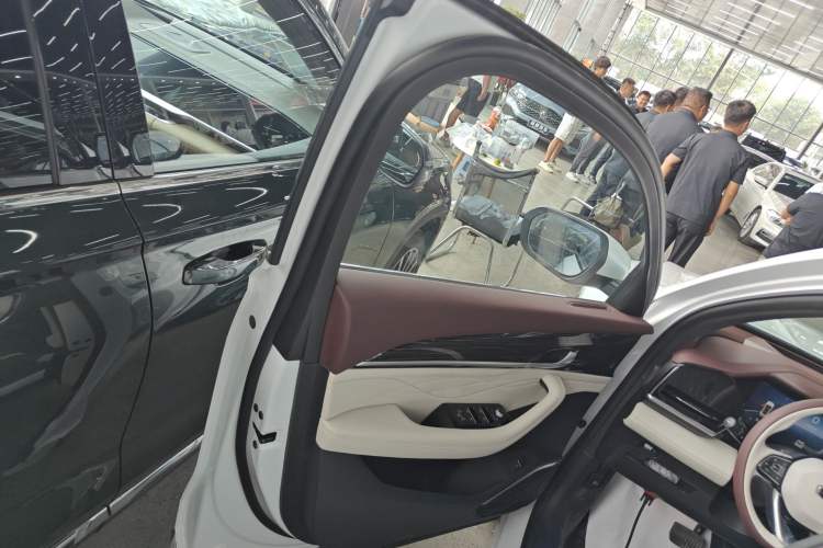 Used Geely Auto Monjaro L 2021 2.0TD High-Power Automatic All-Wheel-Drive Flagship Version Left Front Door Interior