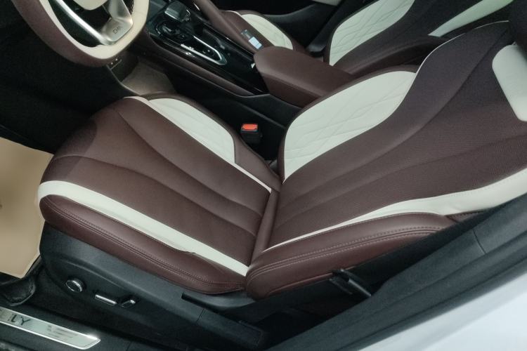 Used Geely Auto Monjaro L 2021 2.0TD High-Power Automatic All-Wheel Drive Luxury Version Left Front Seat