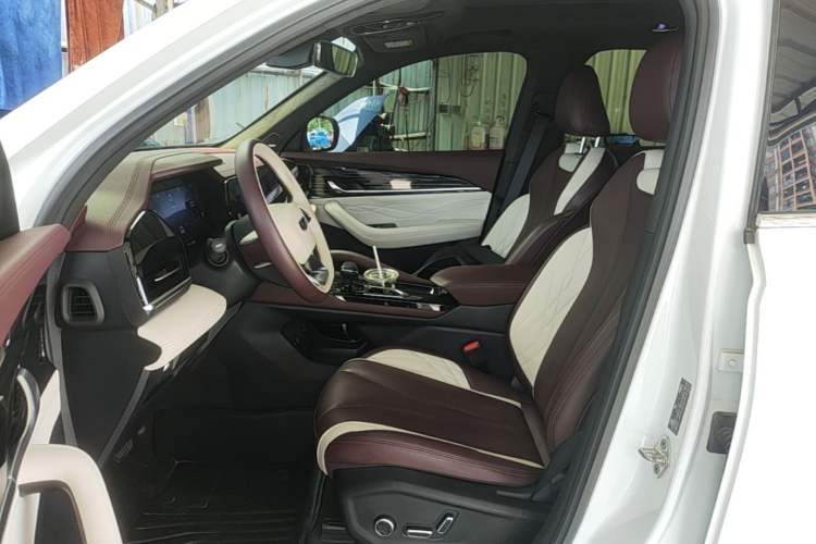 Used Geely Auto Monjaro L 2021 2.0TD DCT EVO Two-Wheel-Drive Flagship Version Left Front Seat