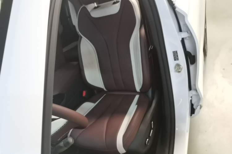 Used Geely Auto Monjaro L 2021 2.0TD DCT EVO Two-Wheel Drive Prestige Version Left Front Seat