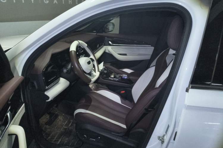 Used Geely Auto Monjaro L 2021 2.0TD DCT EVO Two-Wheel Drive Smart Luxury Version Left Front Seat
