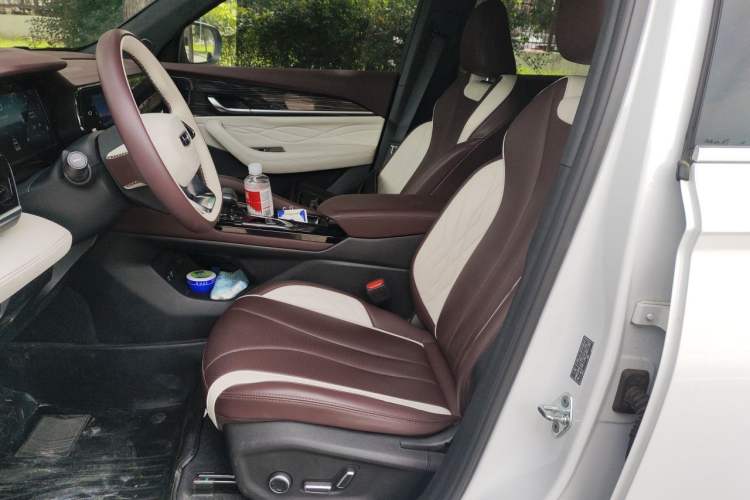 Used Geely Auto Monjaro L 2021 2.0TD DCT EVO Two-Wheel Drive Prestige Version Left Front Seat