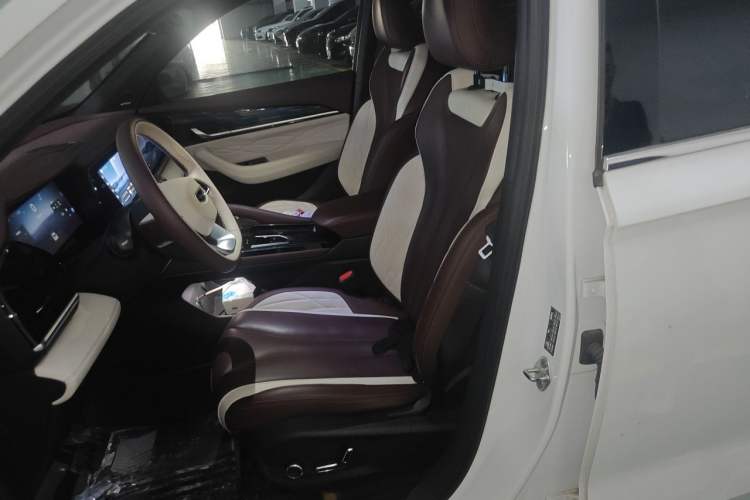 Used Geely Auto Monjaro L 2021 2.0TD DCT EVO Two-Wheel-Drive Flagship Version Left Front Seat