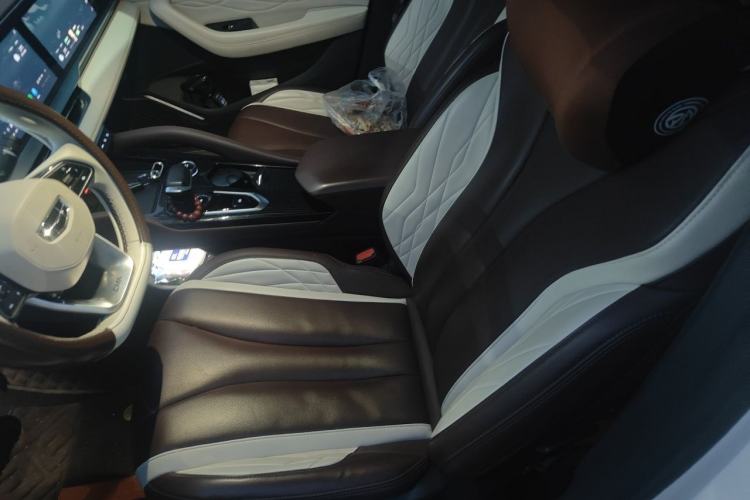 Used Geely Auto Monjaro L 2021 2.0TD DCT EVO Two-Wheel Drive Prestige Version Left Front Seat