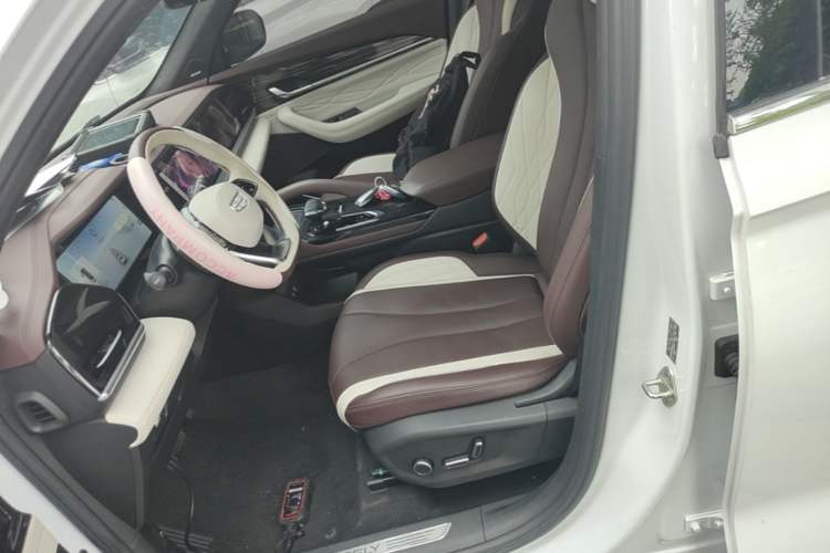 Used Geely Auto Monjaro L 2021 2.0TD DCT EVO Two-Wheel Drive Smart Luxury Version Left Front Seat