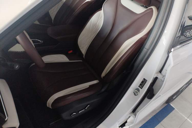 Used Geely Auto Monjaro L 2021 2.0TD High-Power Automatic All-Wheel Drive Luxury Version Left Front Seat