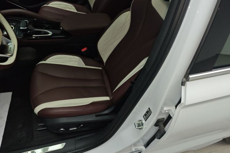 Used Geely Auto Monjaro L 2021 2.0TD DCT EVO Two-Wheel Drive Prestige Version Left Front Seat