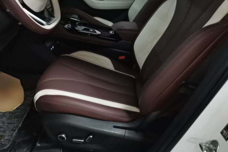 Used Geely Auto Monjaro L 2021 2.0TD High-Power Automatic All-Wheel-Drive Flagship Version Left Front Seat