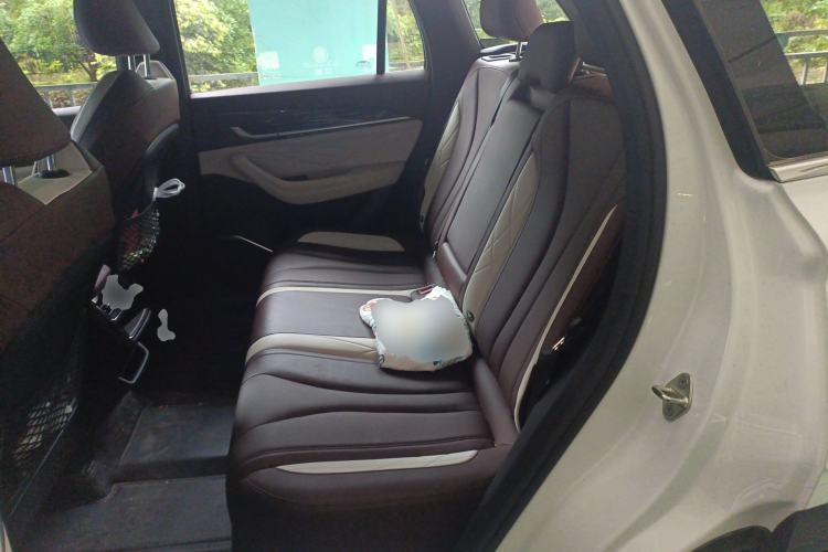 Used Geely Auto Monjaro L 2021 2.0TD DCT EVO Two-Wheel Drive Prestige Version Left Rear Seat