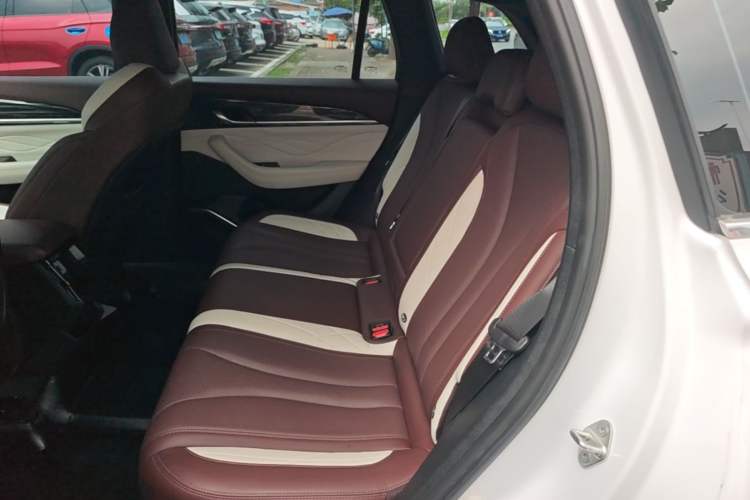 Used Geely Auto Monjaro L 2021 2.0TD DCT EVO Two-Wheel Drive Prestige Version Left Rear Seat