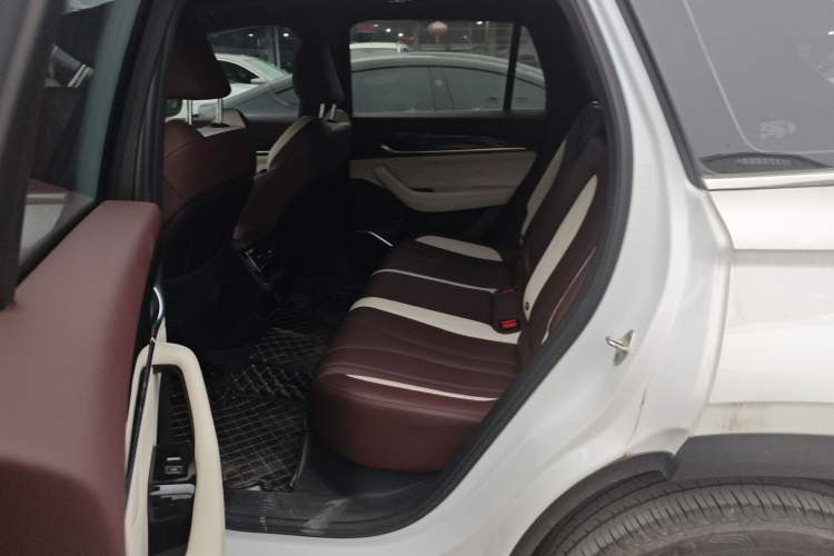 Used Geely Auto Monjaro L 2021 2.0TD High-Power Automatic All-Wheel Drive Luxury Version Left Rear Seat