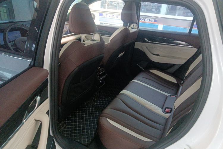Used Geely Auto Monjaro L 2021 2.0TD DCT EVO Two-Wheel Drive Prestige Version Left Rear Seat