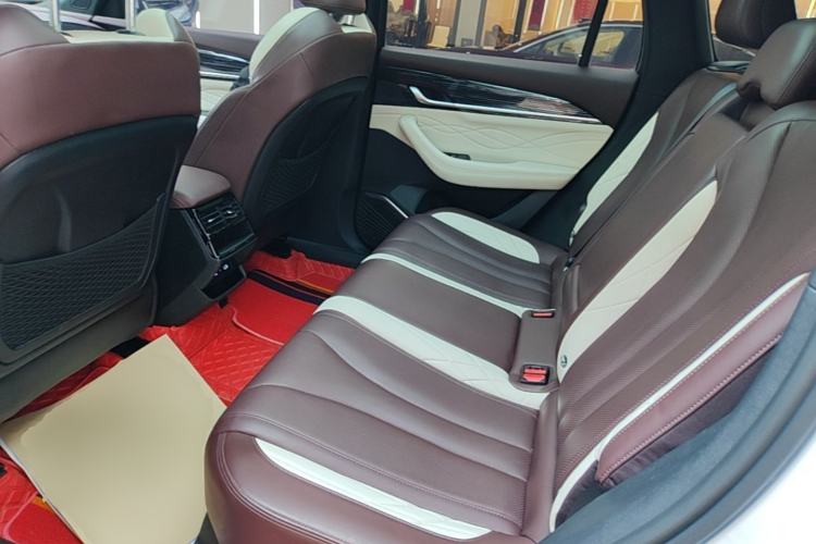 Used Geely Auto Monjaro L 2021 2.0TD DCT EVO Two-Wheel Drive Prestige Version Left Rear Seat