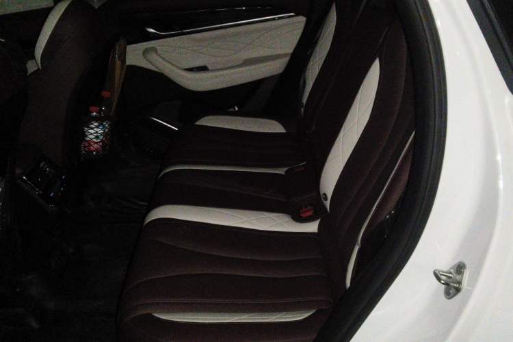 Used Geely Auto Monjaro L 2021 2.0TD DCT EVO Two-Wheel Drive Smart Luxury Version Left Rear Seat