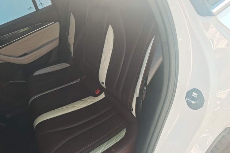 Used Geely Auto Monjaro L 2021 2.0TD DCT EVO Two-Wheel Drive Prestige Version Left Rear Seat