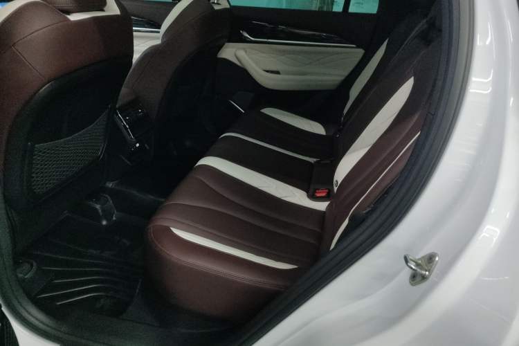 Used Geely Auto Monjaro L 2021 2.0TD High-Power Automatic All-Wheel Drive Luxury Version Left Rear Seat