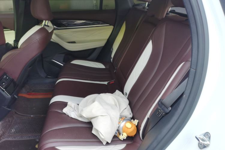 Used Geely Auto Monjaro L 2021 2.0TD DCT EVO Two-Wheel-Drive Flagship Version Left Rear Seat