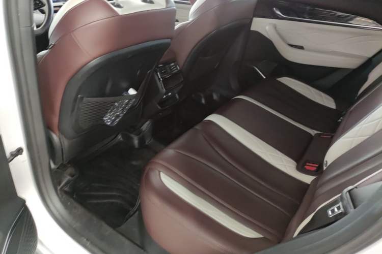 Used Geely Auto Monjaro L 2021 2.0TD DCT EVO Two-Wheel Drive Prestige Version Left Rear Seat