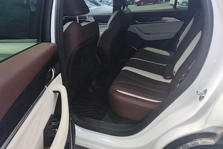 Used Geely Auto Monjaro L 2021 2.0TD DCT EVO Two-Wheel Drive Smart Luxury Version Left Rear Seat