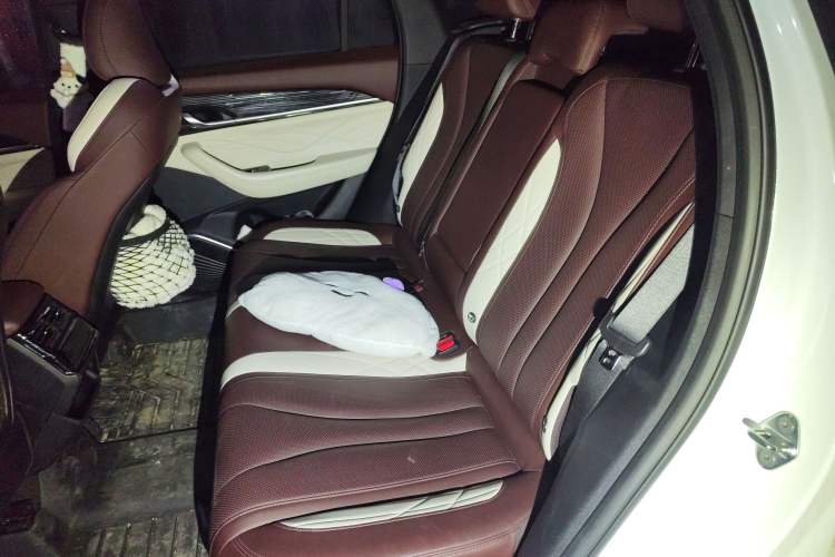 Used Geely Auto Monjaro L 2021 2.0TD DCT EVO Two-Wheel Drive Prestige Version Left Rear Seat