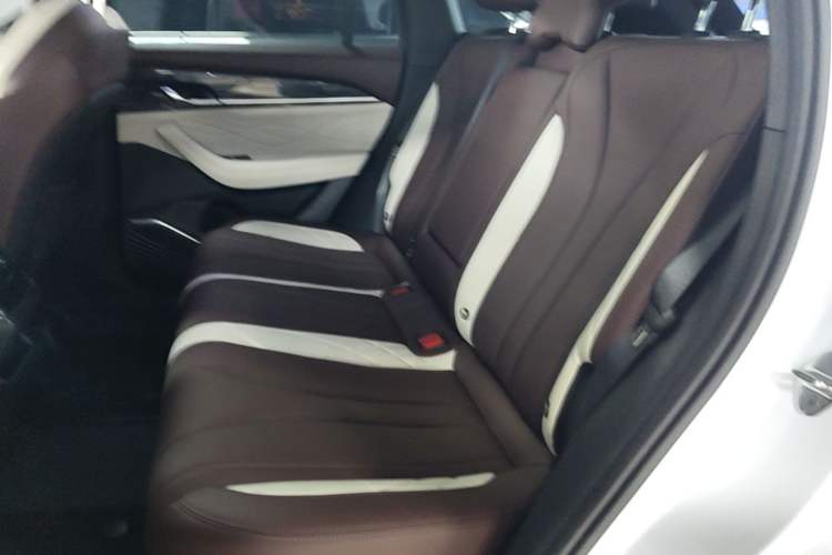Used Geely Auto Monjaro L 2021 2.0TD DCT EVO Two-Wheel Drive Prestige Version Left Rear Seat