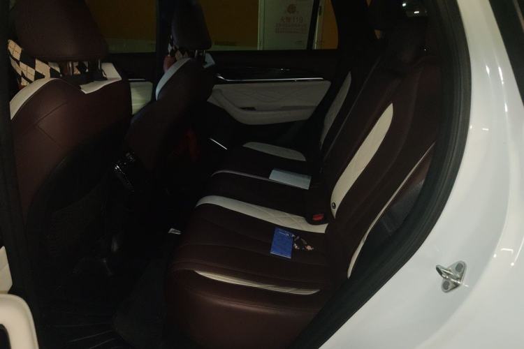 Used Geely Auto Monjaro L 2021 2.0TD DCT EVO Two-Wheel Drive Prestige Version Left Rear Seat
