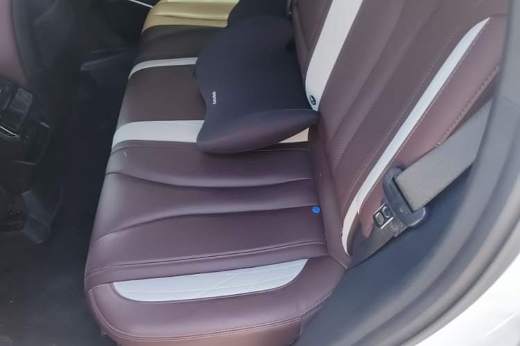Used Geely Auto Monjaro L 2021 2.0TD DCT EVO Two-Wheel Drive Smart Luxury Version Left Rear Seat
