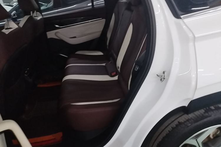 Used Geely Auto Monjaro L 2021 2.0TD DCT EVO Two-Wheel Drive Prestige Version Left Rear Seat