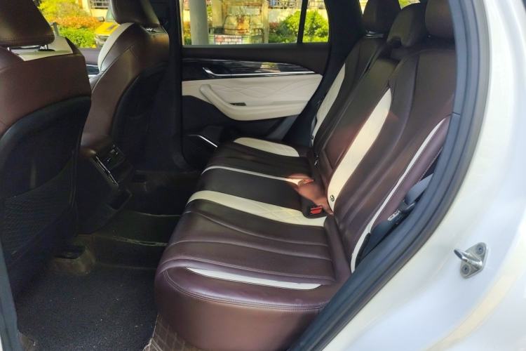 Used Geely Auto Monjaro L 2021 2.0TD High-Power Automatic All-Wheel Drive Luxury Version Left Rear Seat