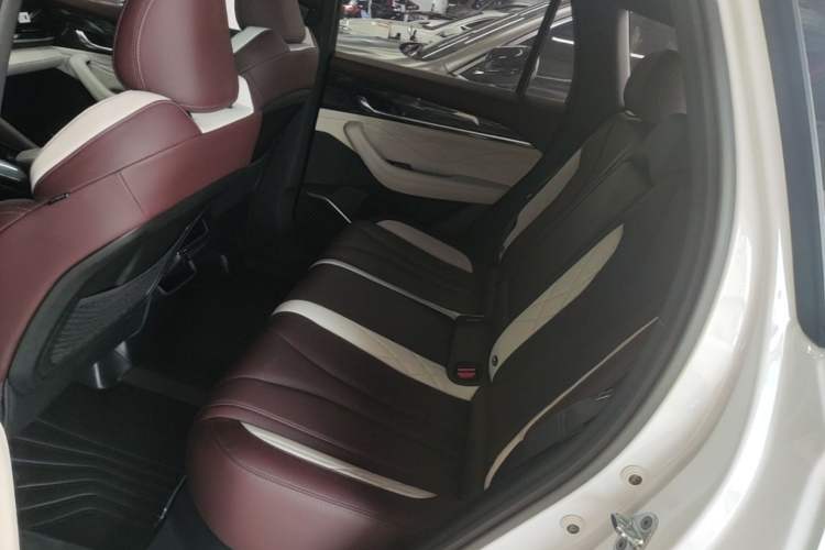 Used Geely Auto Monjaro L 2021 2.0TD DCT EVO Two-Wheel Drive Prestige Version Left Rear Seat