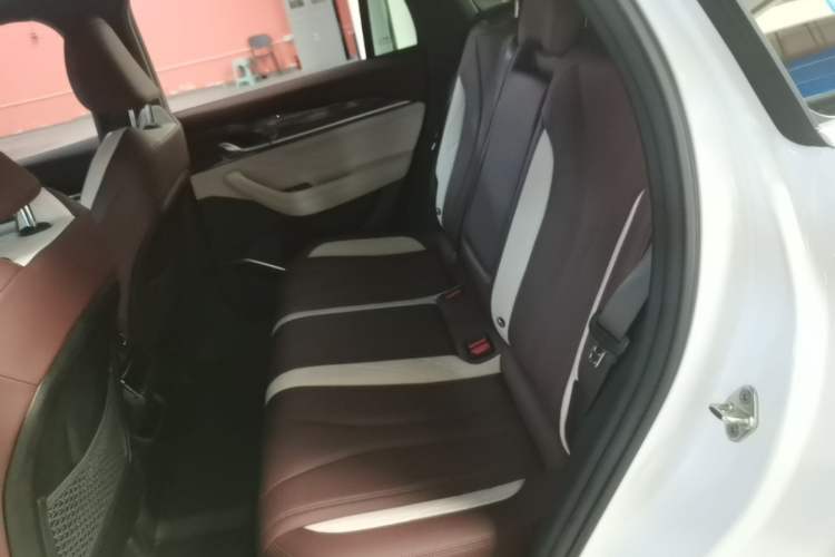 Used Geely Auto Monjaro L 2021 2.0TD DCT EVO Two-Wheel Drive Prestige Version Left Rear Seat