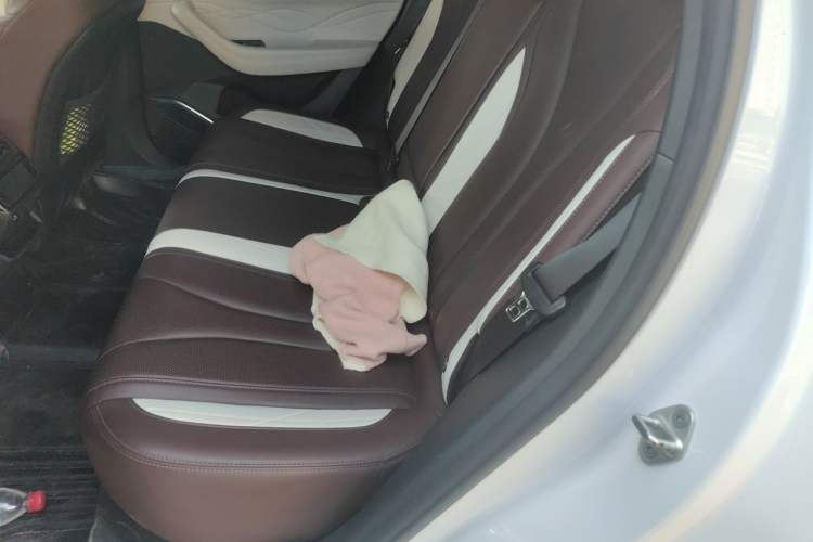 Used Geely Auto Monjaro L 2021 2.0TD DCT EVO Two-Wheel Drive Smart Luxury Version Left Rear Seat