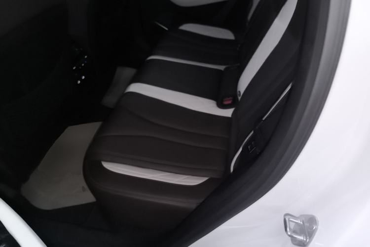Used Geely Auto Monjaro L 2021 2.0TD DCT EVO Two-Wheel Drive Smart Luxury Version Left Rear Seat